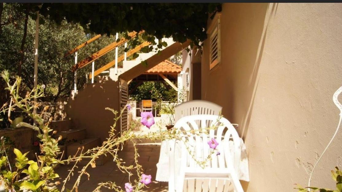 Homestay Jokovic *